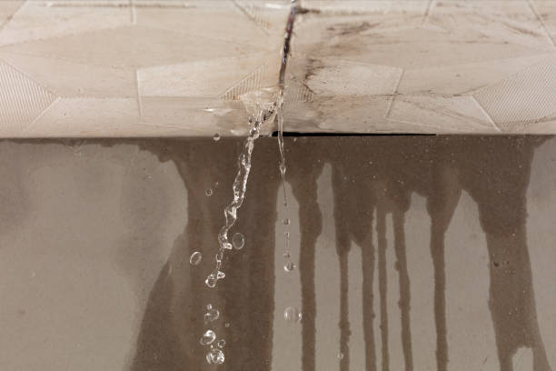 Professional Structural Drying technician working in Leon, IA
